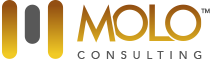 Molo Business Consulting